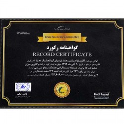 گواهینامه رکورد
